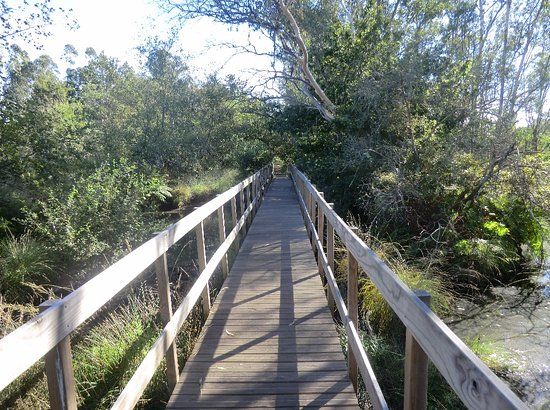 Lagoas de Bertiandos e S. Pedro de Arcos